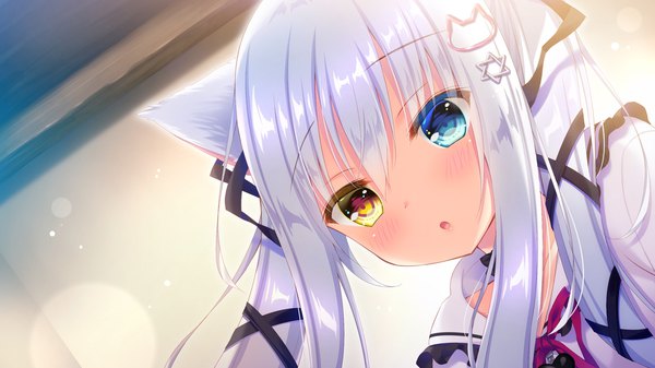 Anime picture 1280x720 with koneko neko neko nekokawa shirone noda shuha single long hair blush fringe open mouth blue eyes hair between eyes wide image twintails animal ears yellow eyes payot looking away game cg silver hair upper body cat ears