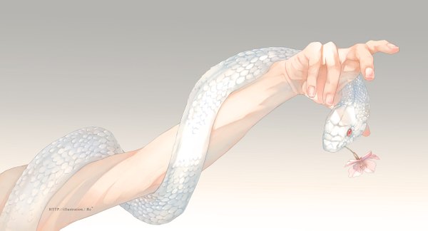 Anime picture 1266x685 with original re (artist) wide image fingernails grey background gradient background outstretched arm boy flower (flowers) animal hand snake white snake scales