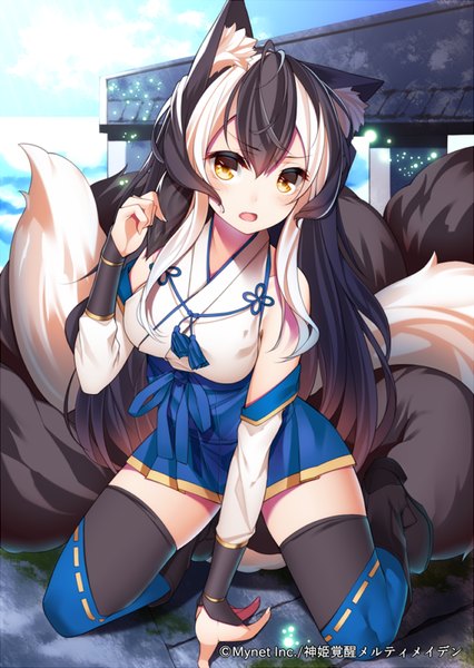 Anime picture 568x800 with original ray-akila single long hair tall image looking at viewer open mouth black hair animal ears yellow eyes tail animal tail multicolored hair streaked hair multiple tails girl thighhighs black thighhighs