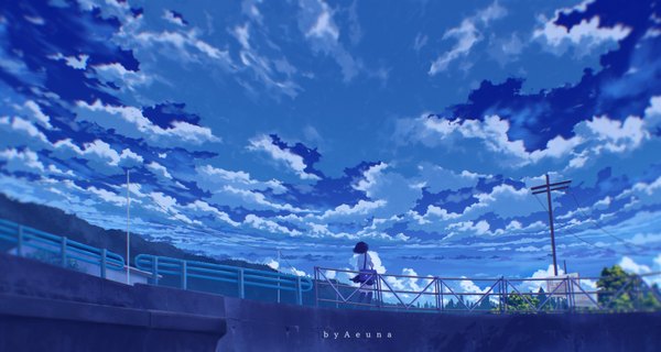 Anime picture 2651x1416 with original aeuna single highres short hair black hair wide image standing sky cloud (clouds) outdoors pleated skirt from behind short sleeves horizon scenic girl skirt uniform plant (plants)