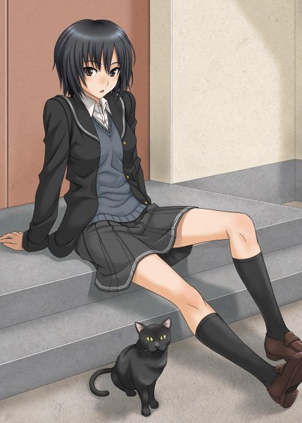 Аниме картинка 858x1200 с амагами nanasaki ai hida tatsuo один (одна) высокое изображение смотрит на зрителя короткие волосы открытый рот чёрные волосы сидит чёрные глаза девушка юбка животное носки чёрная юбка носки (чёрные) кот (кошка)