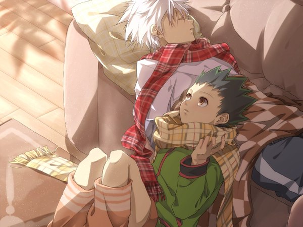 Anime picture 800x600 with hunter x hunter killua zaoldyeck gon freaks po (poppa-pict) fringe short hair hair between eyes sitting brown eyes bent knee (knees) white hair indoors lying eyes closed parted lips profile green hair sunlight multiple boys on back