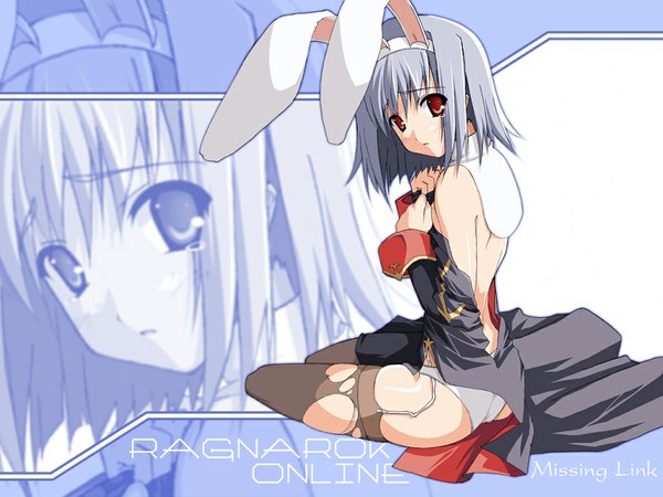 Anime picture 1024x768 with ragnarok online priest (ragnarok online) shingo (missing link) light erotic animal ears blue hair bunny ears wallpaper torn clothes zoom layer underwear panties