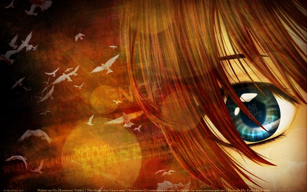 イラスト 1920x1200 と 隠の王 j.c. staff rokujou miharu ソロ highres 短い髪 青い目 茶色の髪 wide image close-up face orange background 動物 鳥