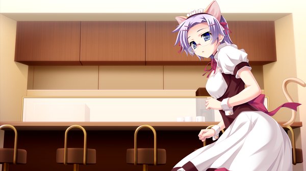 Anime picture 1280x720 with kozukuri shiyou yo souma-kun single short hair blue eyes wide image animal ears game cg purple hair tail animal tail cat ears maid cat girl cat tail girl dress glasses headdress maid headdress