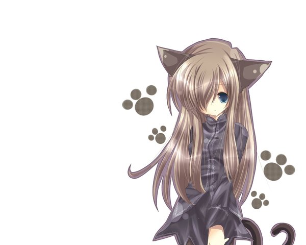 Anime picture 2000x1600 with long hair highres blue eyes simple background brown hair white background animal ears cat ears cat girl cat tail paw print girl dress