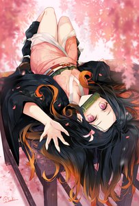 Anime-Bild 677x1000