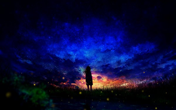 Anime-Bild 2560x1600 mit original teataster single long hair highres standing looking away cloud (clouds) blurry night wallpaper night sky silhouette morning sunrise girl skirt plant (plants) insect star (stars)