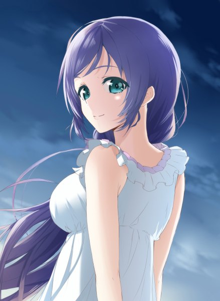 Anime picture 1000x1366 with love live! school idol project sunrise (studio) love live! toujou nozomi single tall image blue eyes purple hair cloud (clouds) very long hair looking back girl sundress