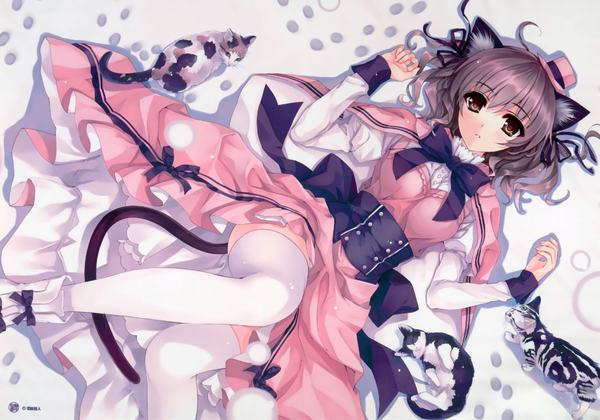 Anime picture 4102x2872 with misaki kurehito single looking at viewer highres short hair brown eyes animal ears absurdres tail animal tail grey hair cat ears scan cat girl cat tail girl thighhighs dress animal white thighhighs