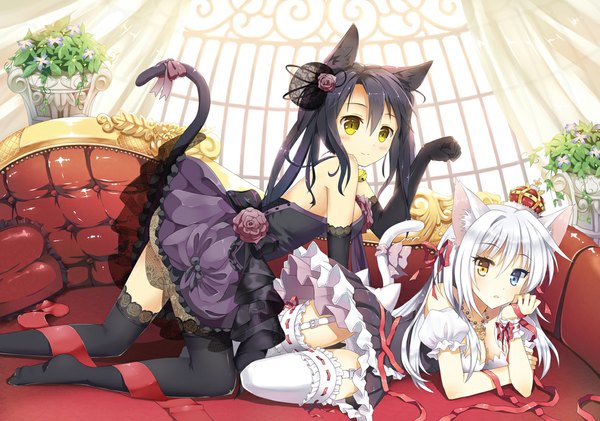 Anime picture 1105x777 with original aina rive mauve long hair blush light erotic black hair multiple girls animal ears yellow eyes white hair cat ears cat girl cat tail heterochromia head rest girl thighhighs dress gloves