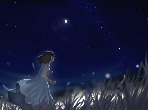 Anime picture 1028x768 with akio-bako (artist) black hair sky from behind night sky dress plant (plants) moon star (stars) fireflies