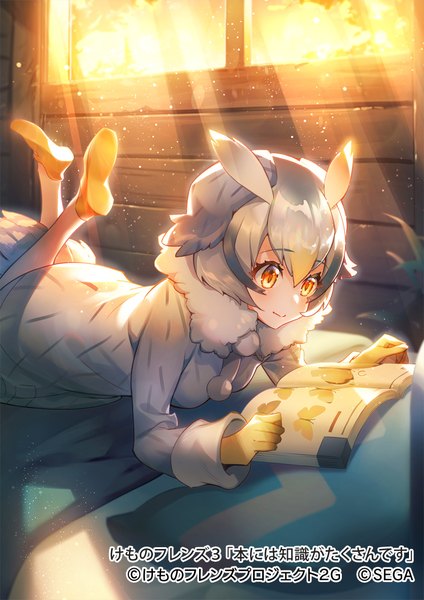 Anime picture 707x1000 with kemono friends kemono friends 3 northern white-faced owl (kemono friends) hasumikaoru single tall image fringe short hair smile hair between eyes yellow eyes silver hair lying sunlight official art on stomach sunbeam dust girl window