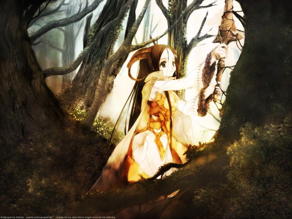 Anime picture 1600x1200 with plant (plants) sword tree (trees) forest tagme