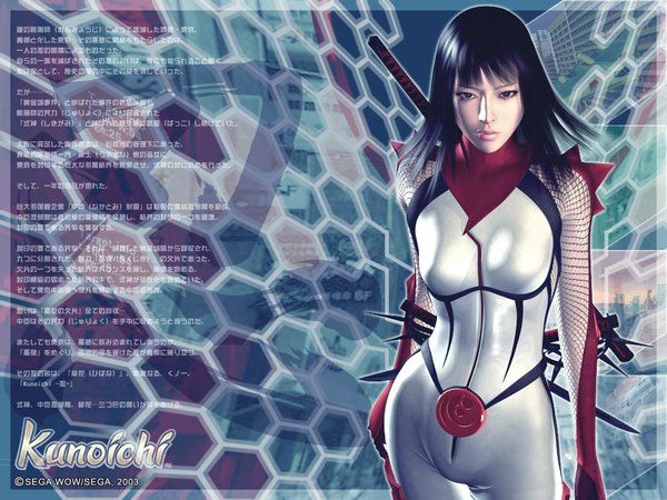 Anime picture 1024x768 with nightshade sega hibana (nightshade) wallpaper shiny clothes skin tight fishnet 3d ninja