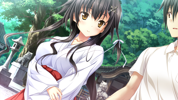 Anime picture 1280x720 with amatsutsumi purple software asahina kyouko (amatsutsumi) long hair blush black hair wide image brown eyes game cg traditional clothes japanese clothes miko girl boy plant (plants) tree (trees)