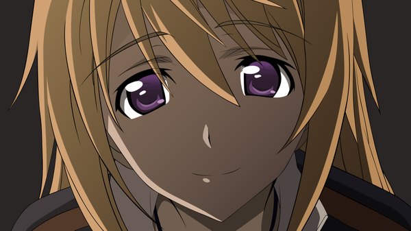 Anime picture 4000x2250 with infinite stratos 8bit charles dunois long hair highres blonde hair smile wide image purple eyes absurdres grey background portrait close-up face vector girl