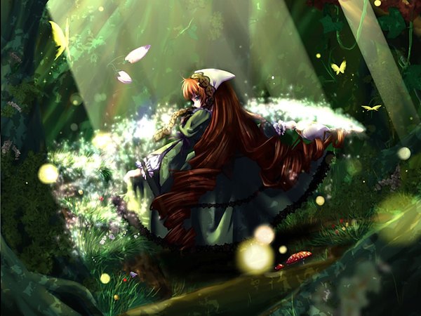 Anime picture 1600x1200 with rozen maiden suiseiseki flower (flowers) tree (trees) insect butterfly forest