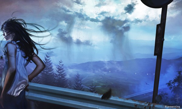 Anime picture 1562x937 with original aalge single long hair fringe black hair wide image standing looking away outdoors wind blurry realistic mountain fog girl plant (plants) animal tree (trees) bird (birds)