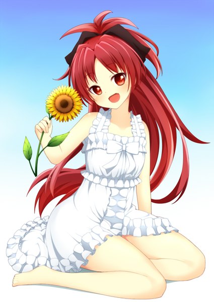 Anime picture 716x1011 with mahou shoujo madoka magica shaft (studio) sakura kyouko jampen single long hair tall image looking at viewer blush open mouth red eyes sitting ponytail red hair head tilt barefoot gradient background girl dress flower (flowers)