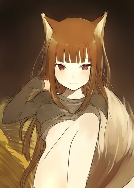 Anime picture 600x844 with spice and wolf horo lpip single long hair tall image looking at viewer blush light erotic brown hair brown eyes animal ears payot bent knee (knees) tail blunt bangs animal tail light smile bare belly bare legs
