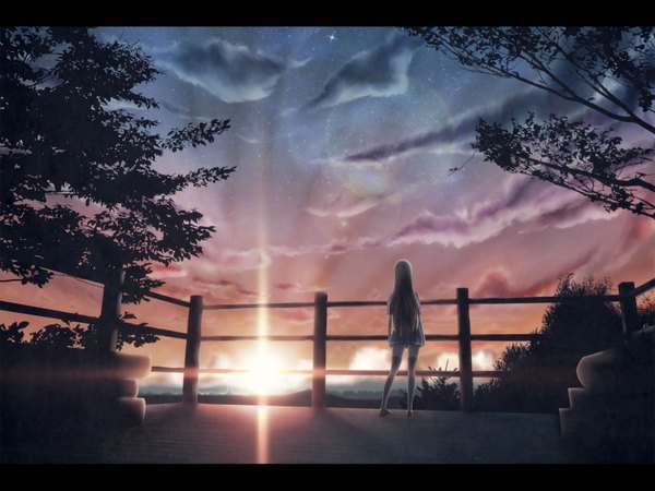 Anime picture 1500x1125 with original hono mochizuki single long hair brown hair sky cloud (clouds) from behind evening sunset scenic girl thighhighs skirt black thighhighs plant (plants) tree (trees) serafuku star (stars) knee socks
