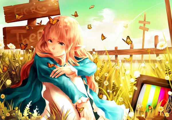 Anime picture 1140x796 with 89pixels single long hair blue eyes sitting sky cloud (clouds) light smile pointy ears orange hair elf girl flower (flowers) plant (plants) insect butterfly grass fence television sign
