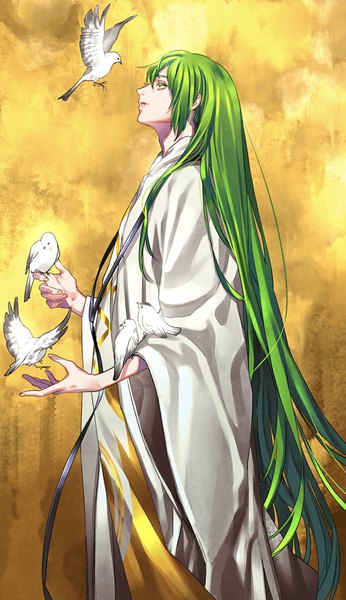Anime picture 992x1718 with fate (series) fate/strange fake enkidu (fate) tenobe single tall image simple background standing yellow eyes payot very long hair profile green hair looking up yellow background androgynous bird on hand boy animal bird (birds)
