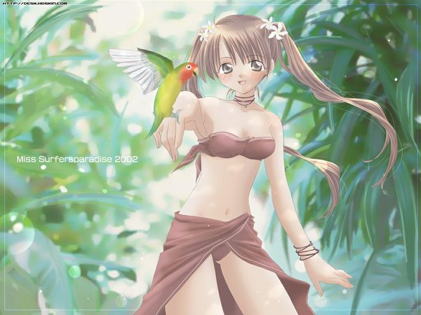 Anime picture 1024x768 with original miss surfersparadise koshikawa guu single long hair looking at viewer blush open mouth light erotic brown hair twintails bird on hand girl animal bird (birds) pareo parrot