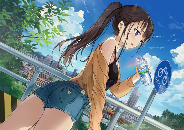 Anime picture 3508x2480 with original saya (mychristian2) single long hair blush fringe highres open mouth brown hair standing purple eyes holding payot looking away absurdres cloud (clouds) outdoors ponytail profile sunlight