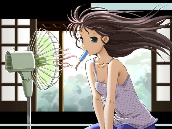 Anime picture 1024x768 with tsurugi hagane wallpaper popsicle camisole electric fan