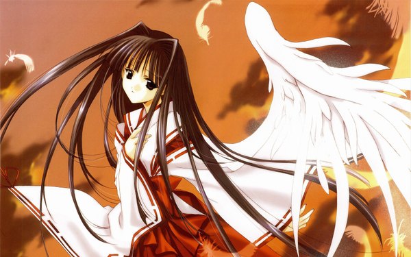 Anime picture 1680x1050 with angel/dust nanase aoi wide image japanese clothes miko wings