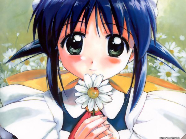 Anime picture 1280x960 with mahoromatic andou mahoro takamura kazuhiro single looking at viewer fringe short hair holding green eyes payot blue hair upper body outdoors light smile maid close-up face hands clasped girl flower (flowers)