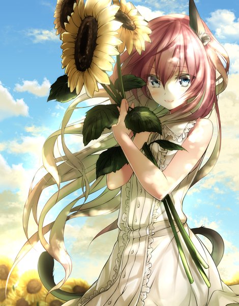 Anime picture 1493x1905 with dies irae rusalka schwagerin mia (gute-nacht-07) single long hair tall image looking at viewer blush fringe breasts blue eyes smile hair between eyes holding animal ears pink hair sky cloud (clouds) white hair tail