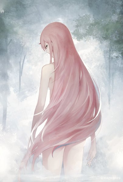 Anime picture 1247x1846 with darling in the franxx studio trigger zero two (darling in the franxx) marumoru single tall image looking at viewer fringe breasts light erotic hair between eyes standing green eyes signed outdoors very long hair looking back horn (horns) nude from behind