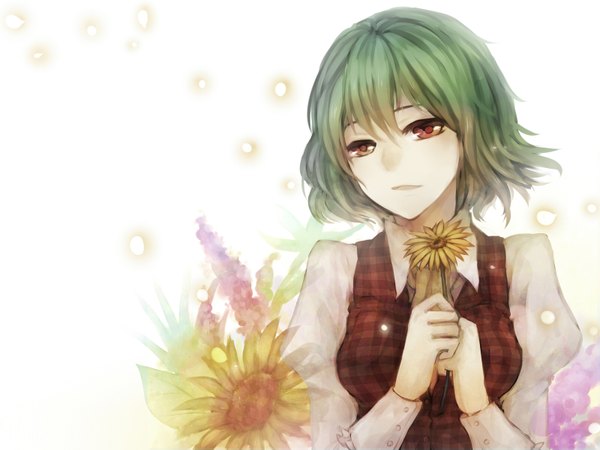 Anime picture 1600x1200 with touhou kazami yuuka marn (pixiv) single short hair red eyes white background green hair girl flower (flowers) shirt sunflower