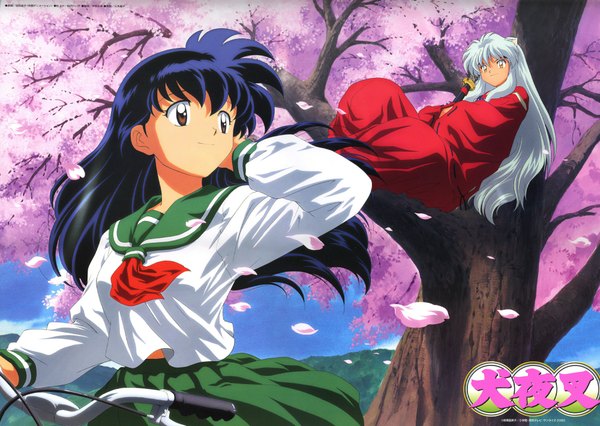 Anime picture 2000x1422 with inuyasha inuyasha (character) higurashi kagome long hair highres brown eyes animal ears yellow eyes looking away purple hair white hair cherry blossoms girl boy uniform plant (plants) school uniform petals tree (trees)