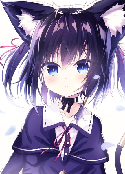 Anime picture 1889x2625 with original kuroneko-chan (satou) satou (3366 s) single tall image looking at viewer blush fringe highres short hair blue eyes black hair simple background hair between eyes white background animal ears upper body tail animal tail cat ears