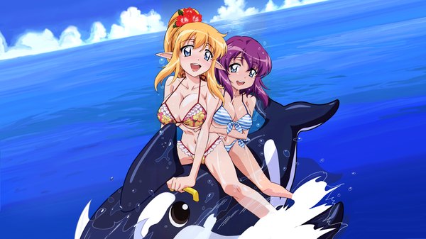 Anime picture 1920x1080 with zero no tsukaima j.c. staff tiffania westwood henrietta de tristain blush highres breasts open mouth blue eyes light erotic blonde hair wide image large breasts multiple girls purple hair pointy ears elf girl 2 girls swimsuit