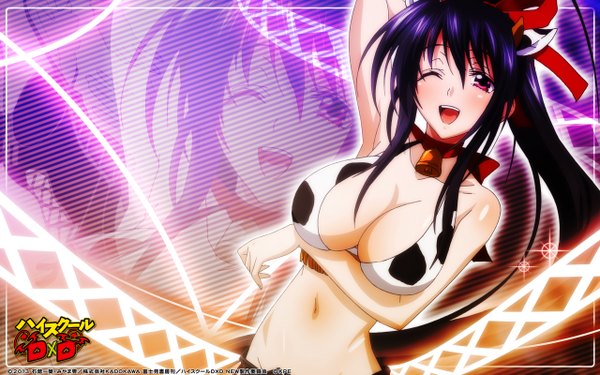 Anime picture 2560x1600 with highschool dxd himejima akeno single looking at viewer blush highres breasts open mouth light erotic black hair large breasts purple eyes ponytail very long hair one eye closed wink girl bell