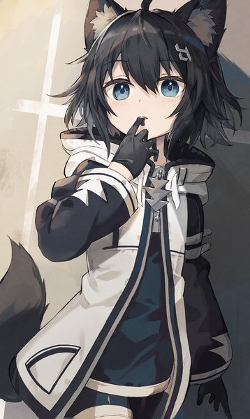 Anime-Bild 1193x2000 mit vrchat satou (3366 s) single tall image looking at viewer fringe short hair blue eyes black hair hair between eyes holding animal ears ahoge tail long sleeves animal tail grey background loli fox ears mouth hold
