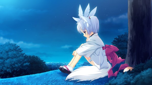 Anime picture 1280x720 with tenshinranman rindou ruri wide image animal ears tail