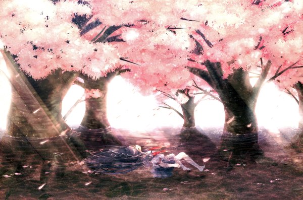 Anime picture 3543x2346 with original kyara0306 single long hair highres black hair absurdres barefoot cherry blossoms girl plant (plants) petals tree (trees) water serafuku