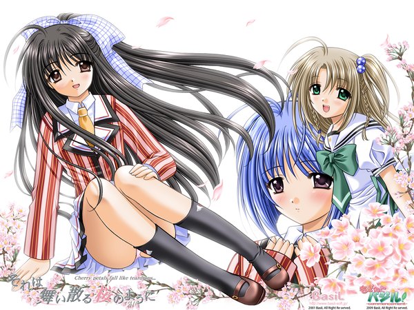 Anime picture 1600x1200 with sore wa maichiru sakura no you ni hoshizaki nozomi satomi kodama yukimura komachi nishimata aoi