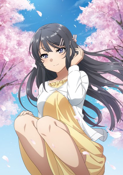 Anime picture 2000x2832 with seishun buta yarou cloverworks sakurajima mai single long hair tall image looking at viewer blush fringe highres breasts blue eyes black hair payot sky cloud (clouds) bent knee (knees) outdoors long sleeves head tilt