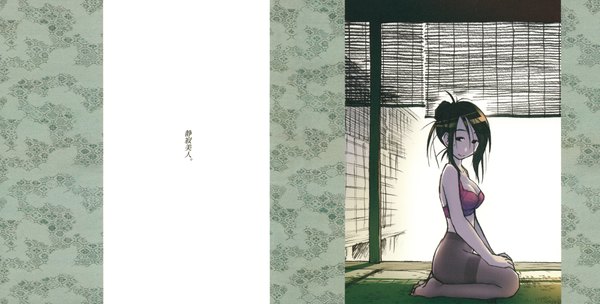 Anime picture 4240x2150 with hattori mitsuru highres light erotic wide image underwear