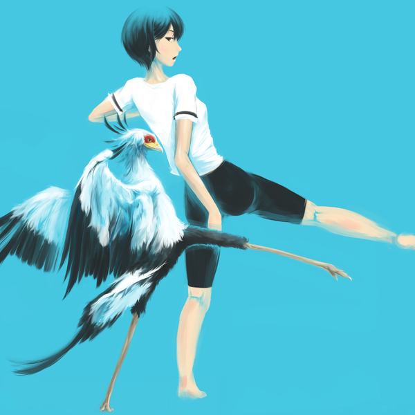 Anime picture 2048x2048 with original wistar!a single fringe highres short hair black hair simple background blue background kick girl animal shorts bird (birds) t-shirt