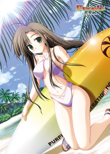 Anime picture 1716x2400 with purple software tall image highres light erotic brown hair green eyes beach girl swimsuit plant (plants) tree (trees) palm tree