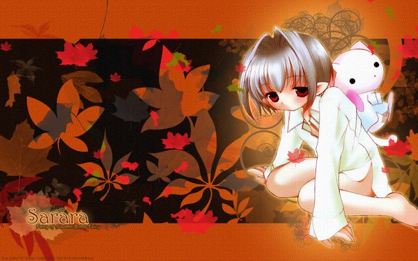 Anime picture 1680x1050 with bottle fairy oboro sarara tokumi yuiko wide image autumn