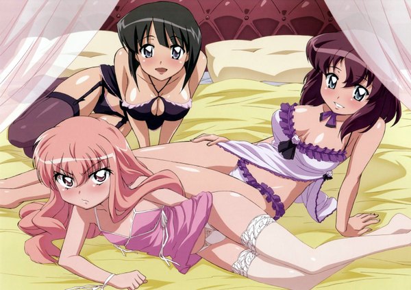 Anime-Bild 1600x1130 mit zero no tsukaima j.c. staff louise francoise le blanc de la valliere siesta henrietta de tristain fujii masahiro light erotic scan thighhighs underwear panties